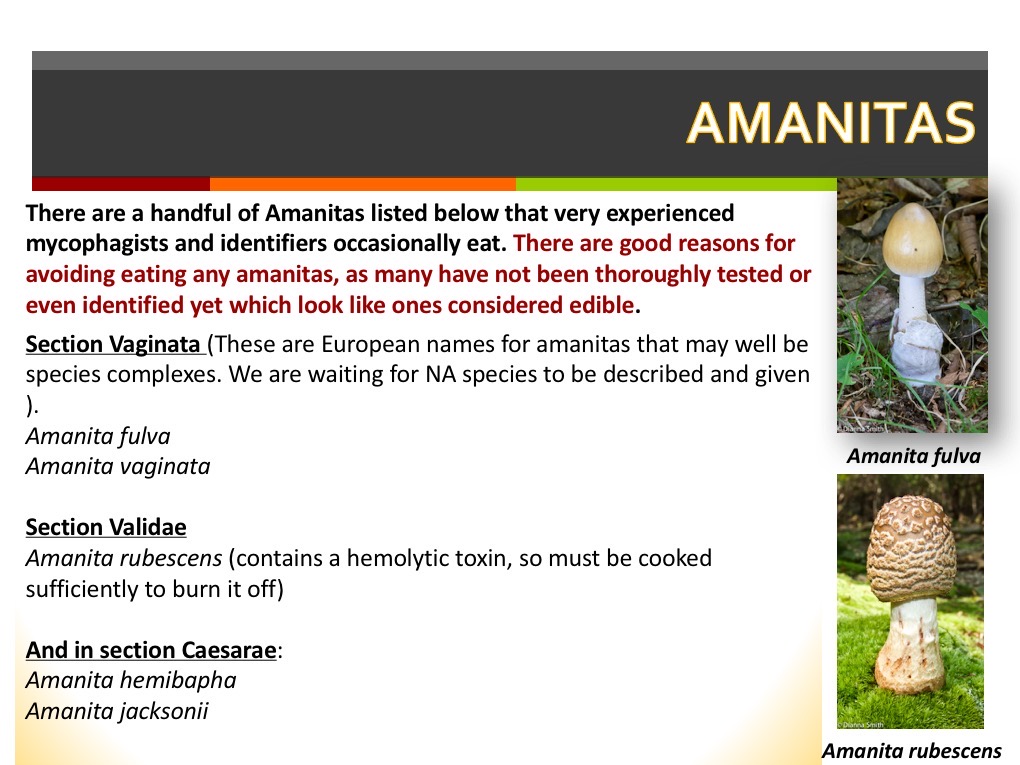 Slide054