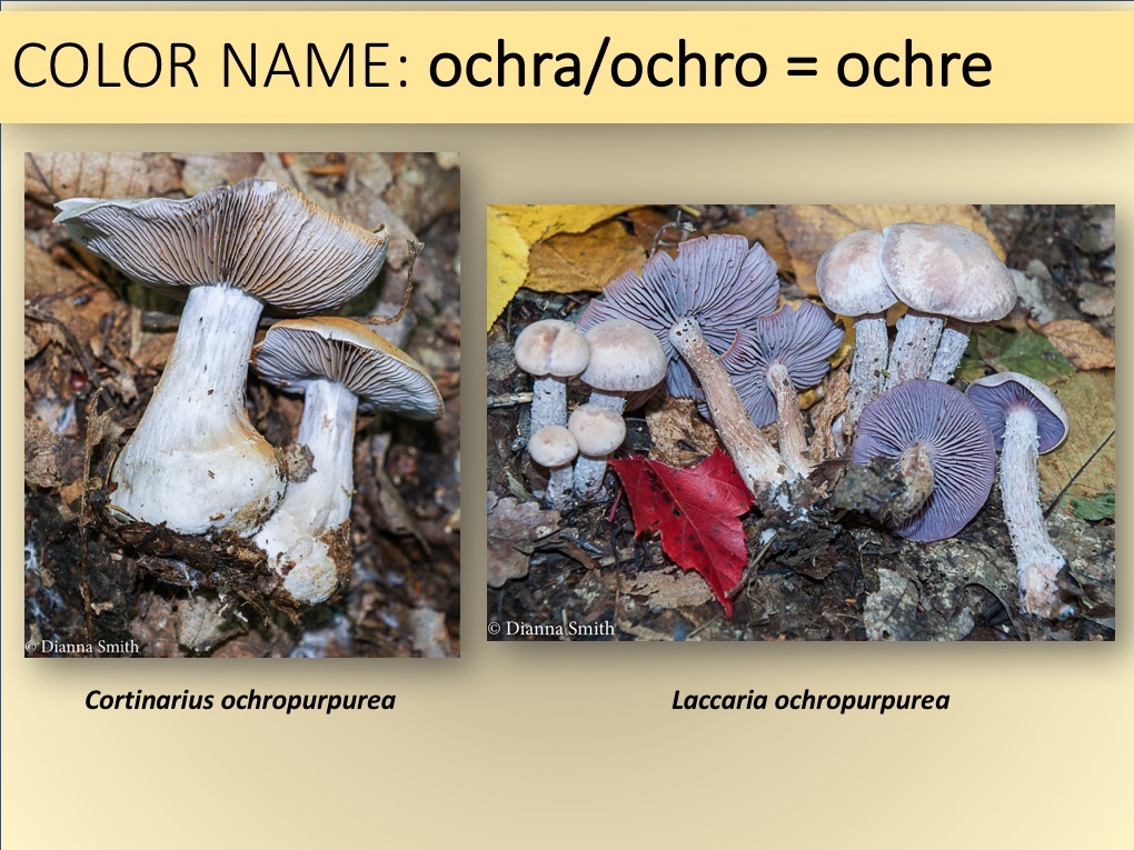 Slide054