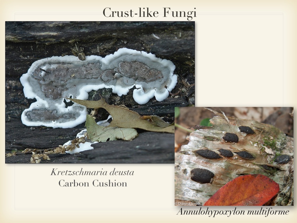 Slide055