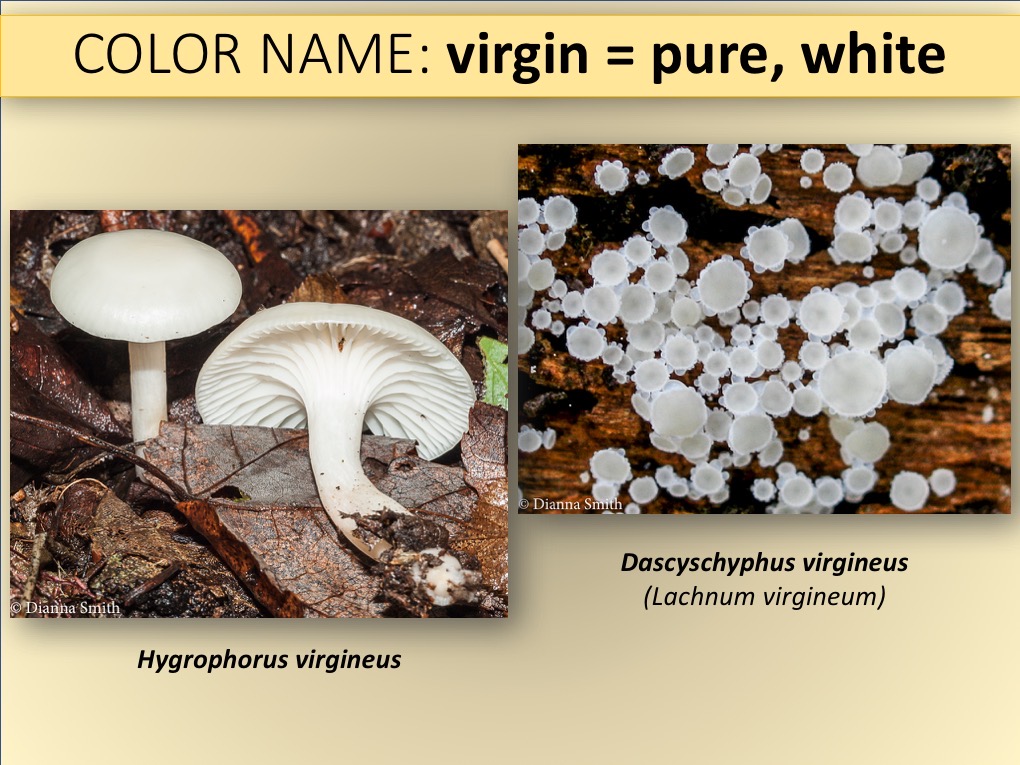Slide056