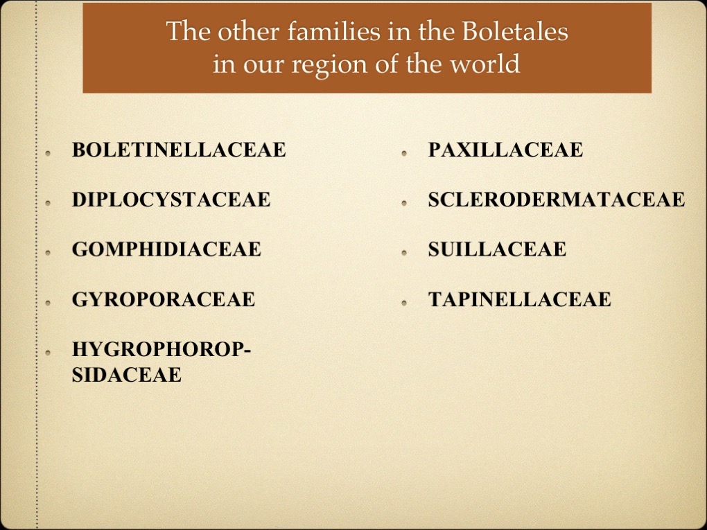 Slide06