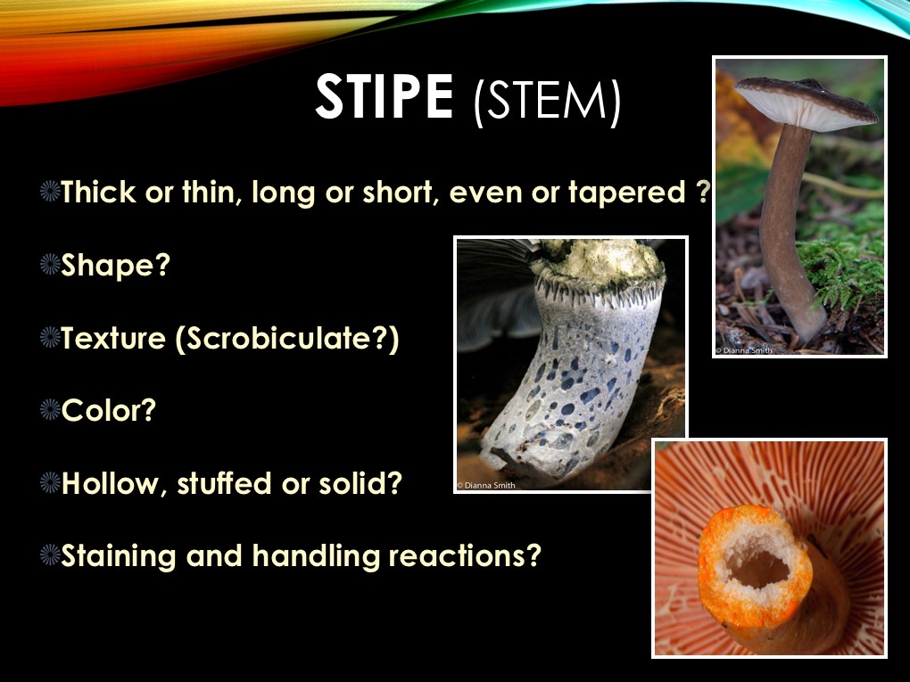 Slide06