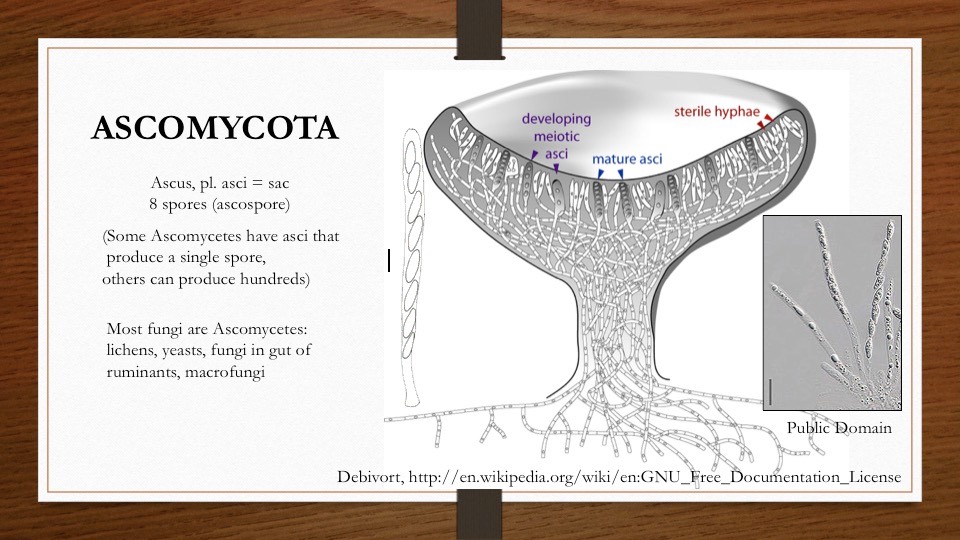 Slide06