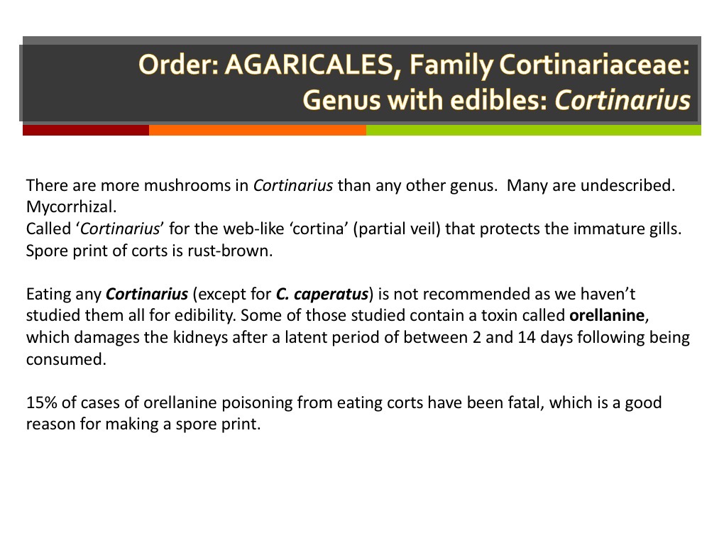 Slide060
