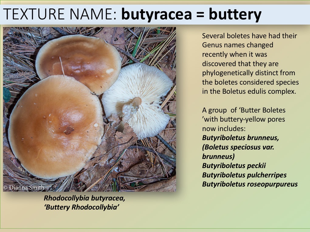 Slide061