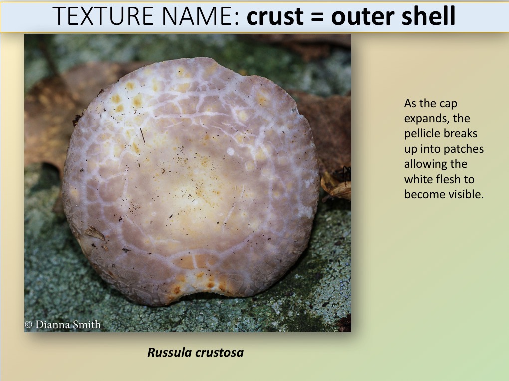 Slide063