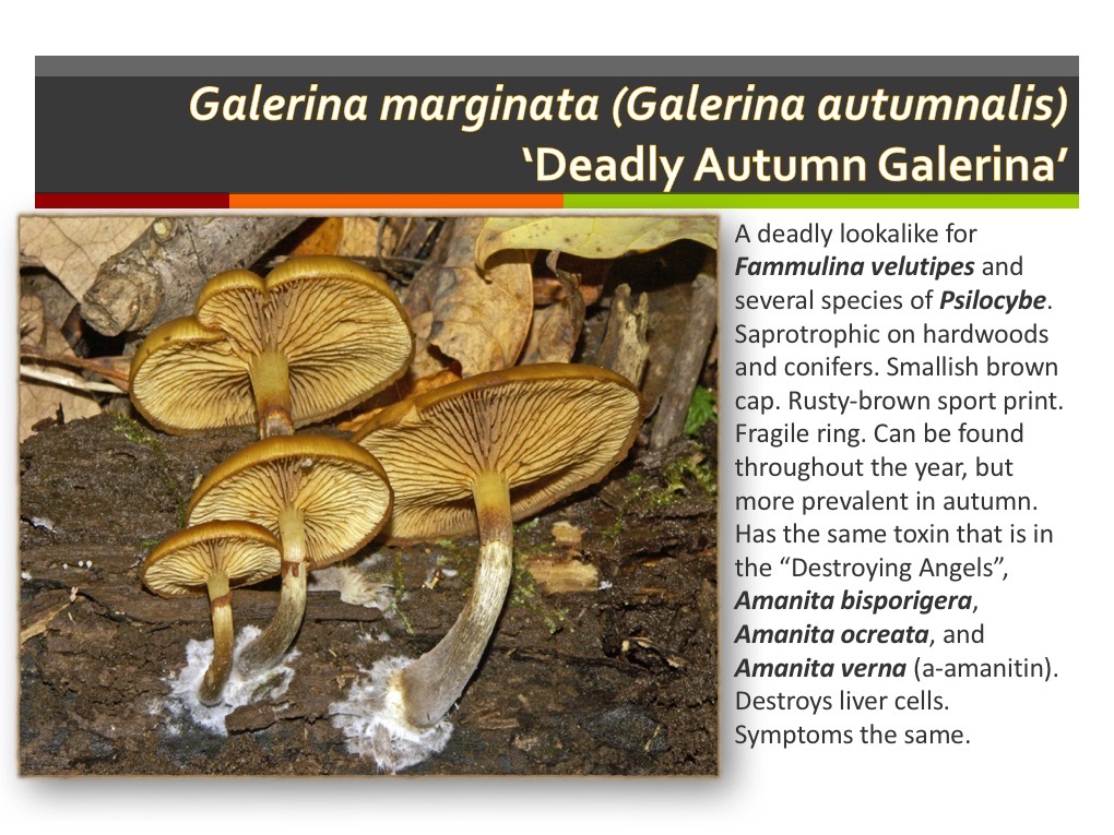 Slide064