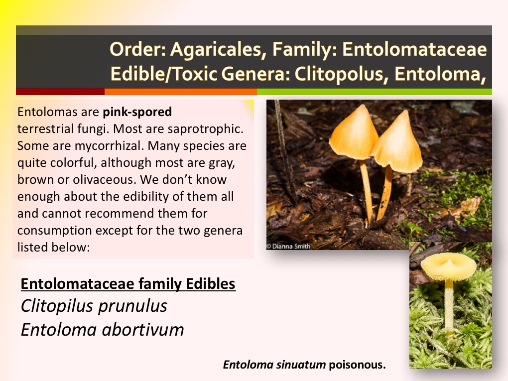Slide065