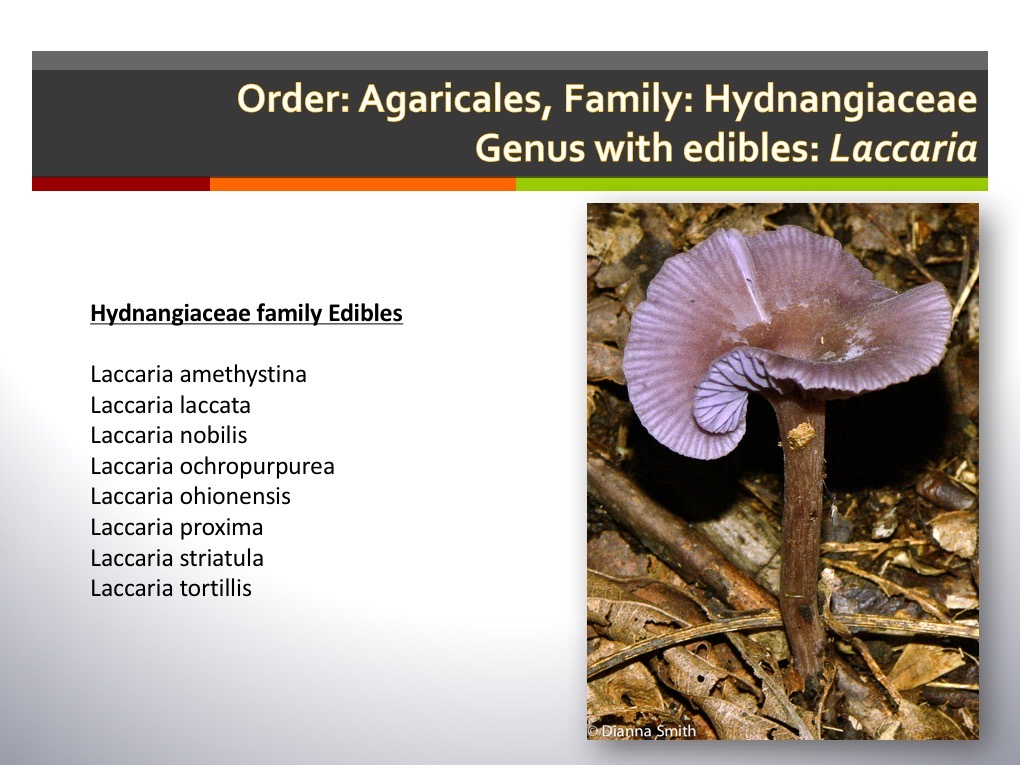 Slide069