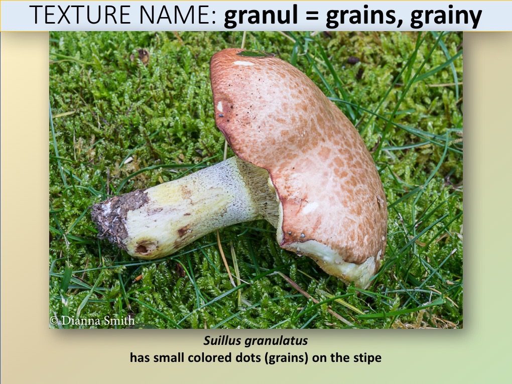 Slide069