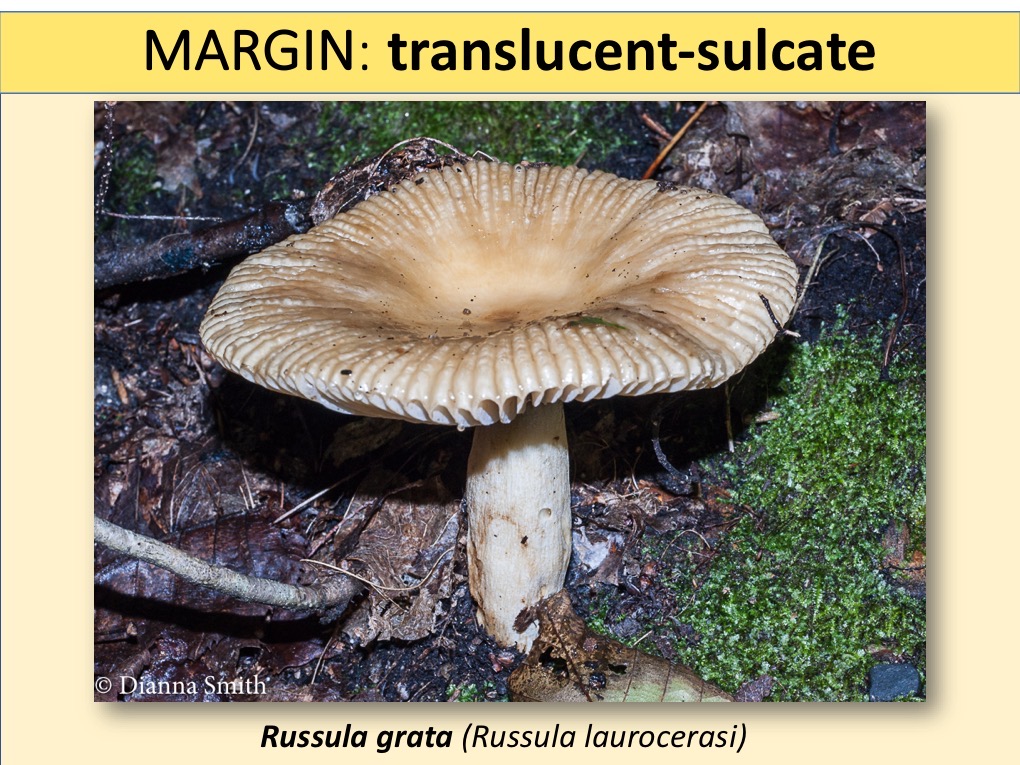 Slide069