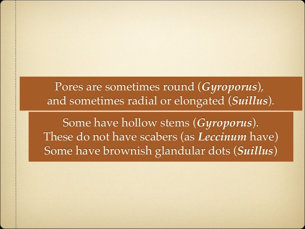 Slide07