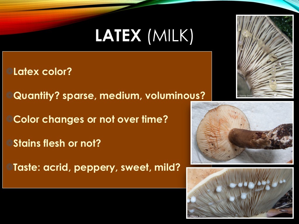 Slide07