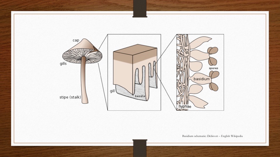 Slide07