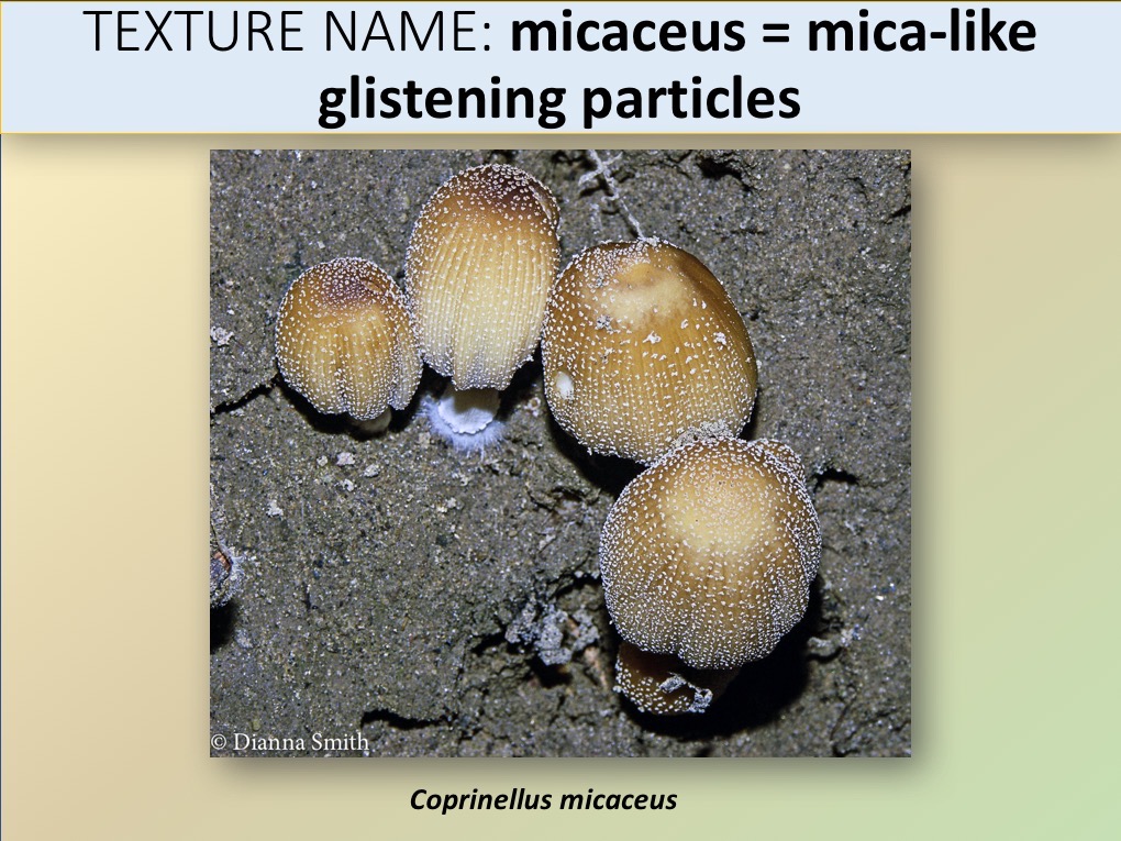 Slide072