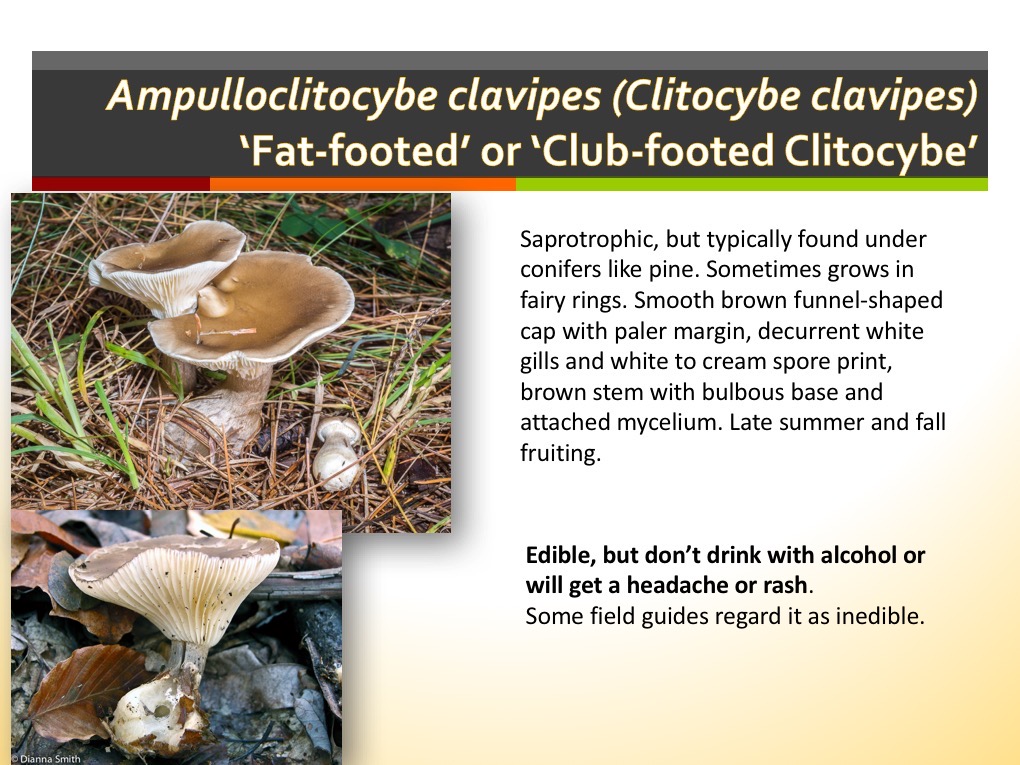 Slide073