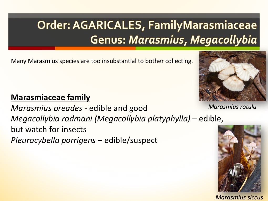 Slide079