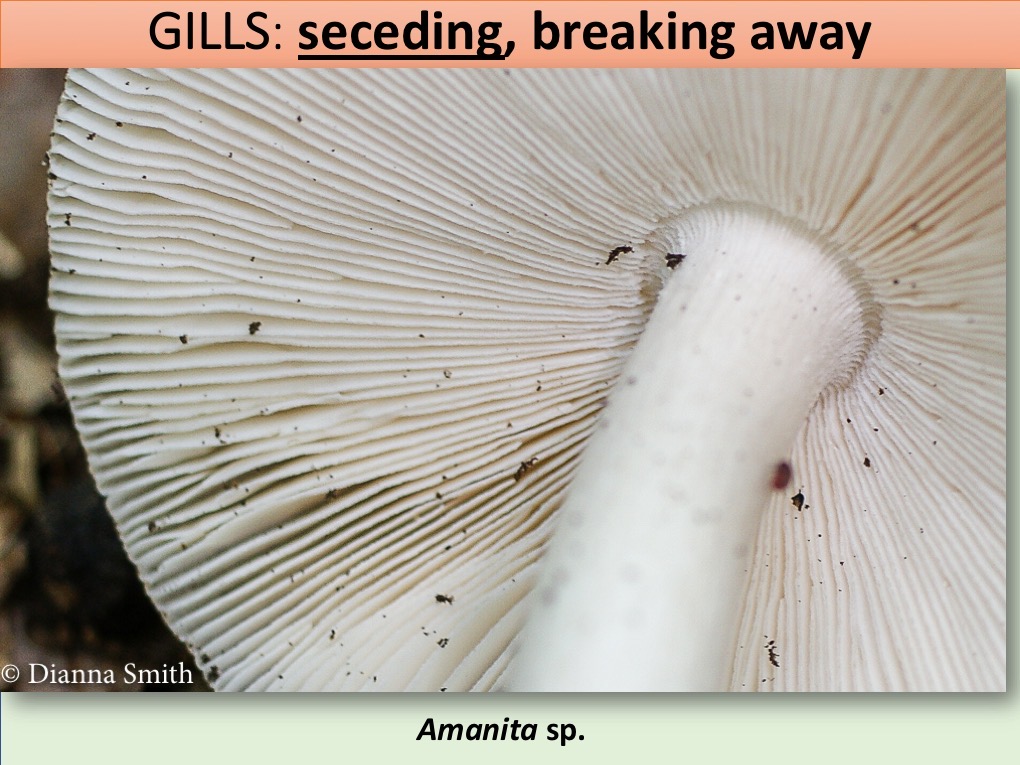 Slide081