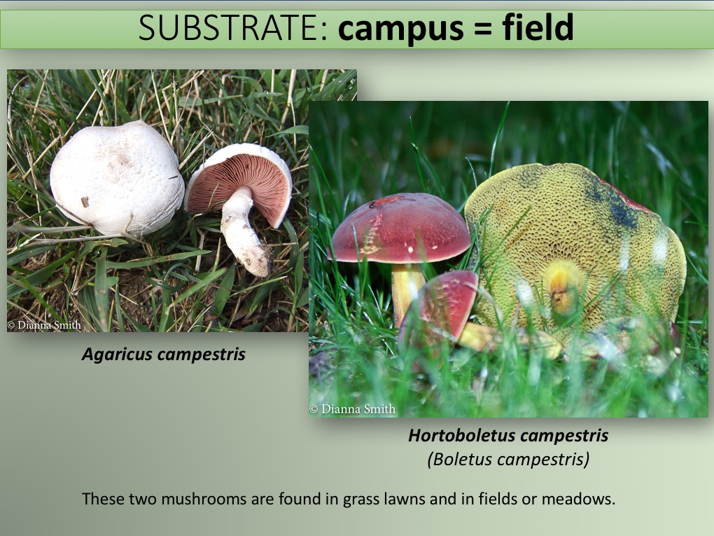 Slide083