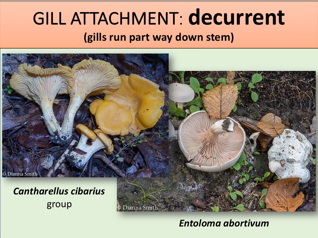 Slide083