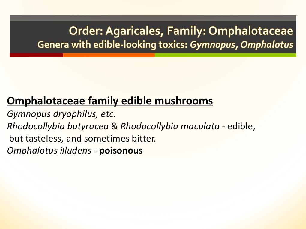 Slide085