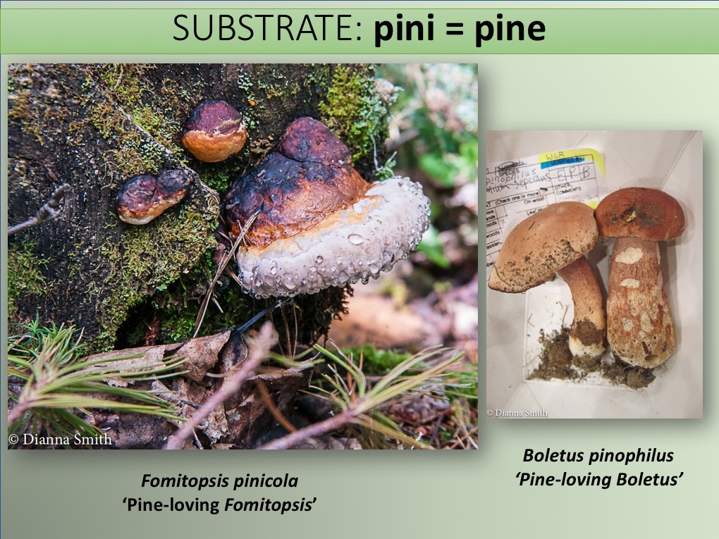 Slide087