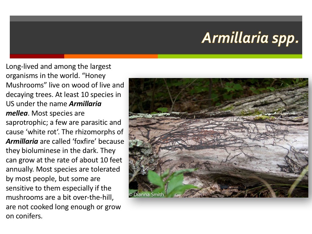 Slide088