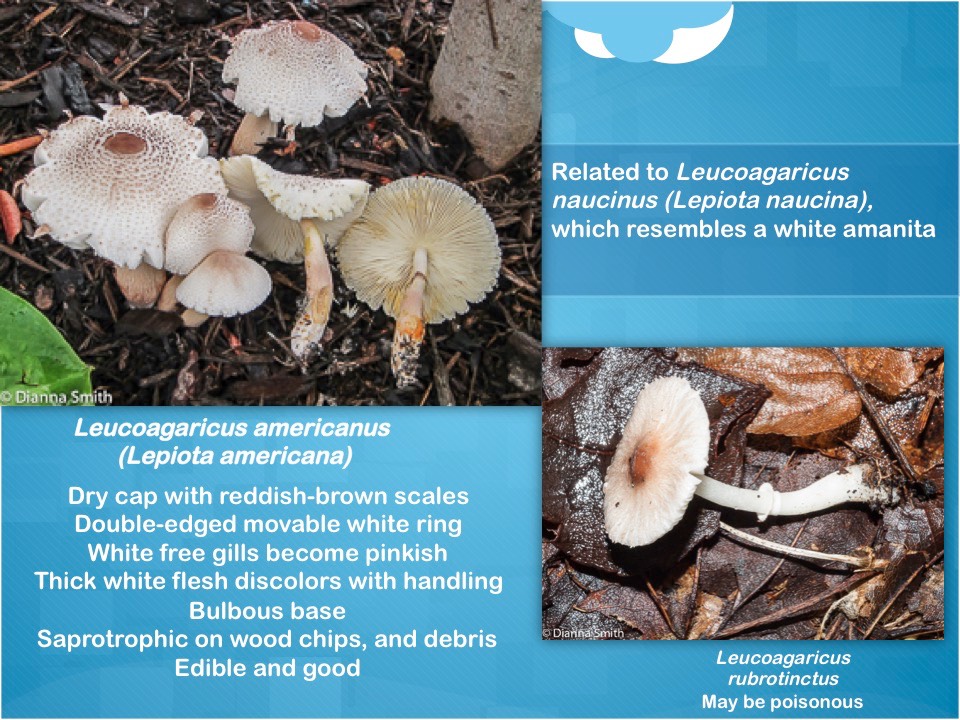 Slide09