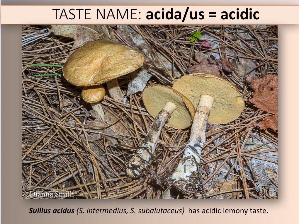 Slide090
