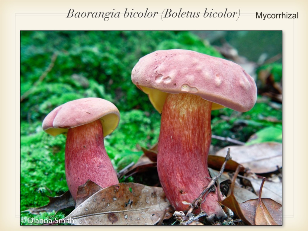 Slide092