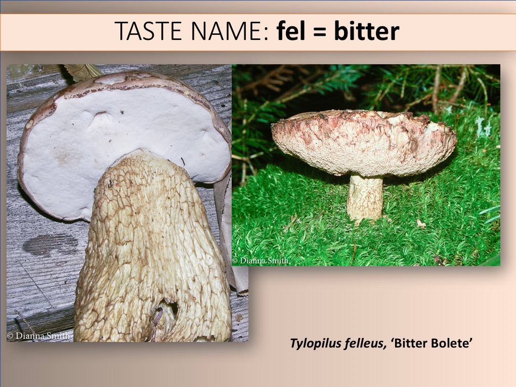Slide092
