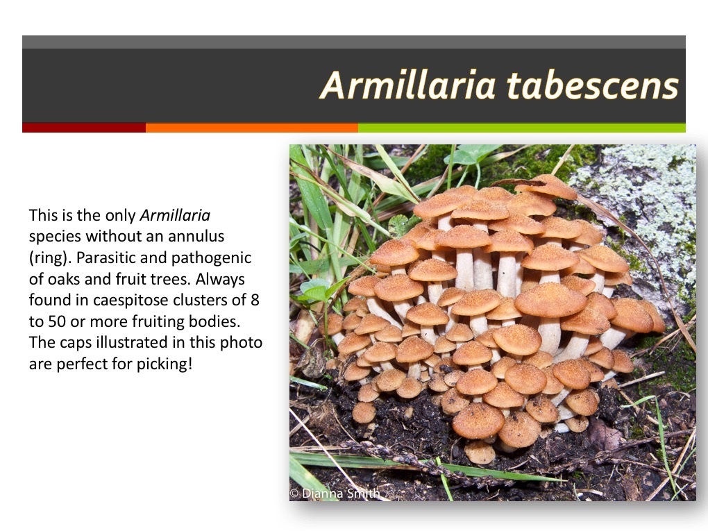 Slide093