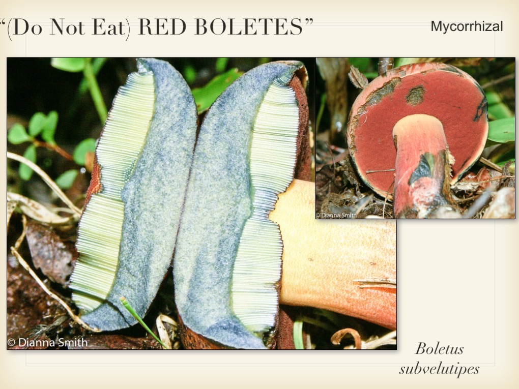 Slide094