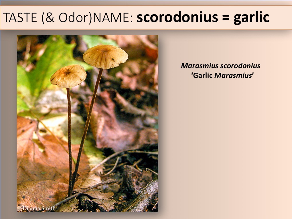 Slide094