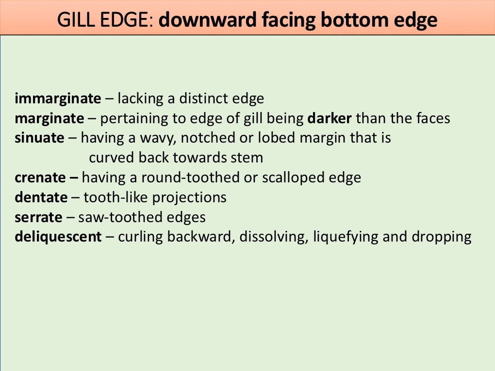 Slide094