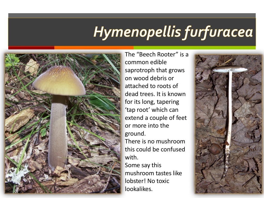 Slide095