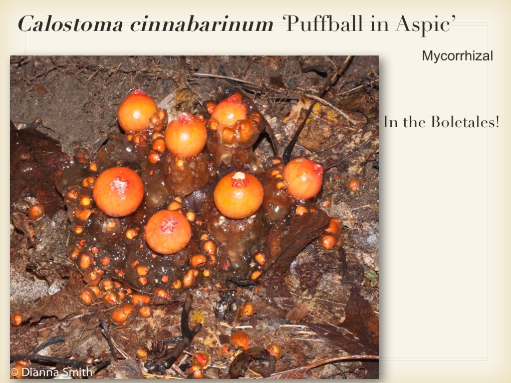 Slide099