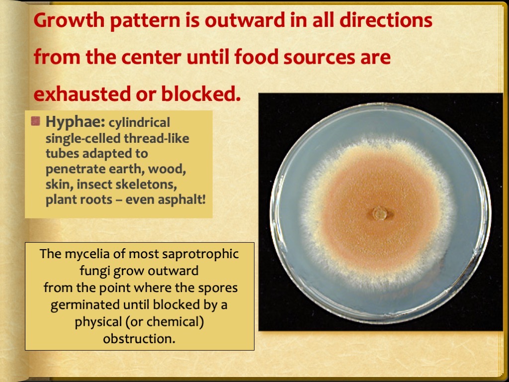 Slide10