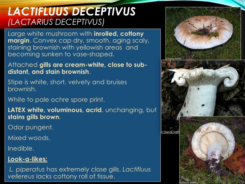 Slide10