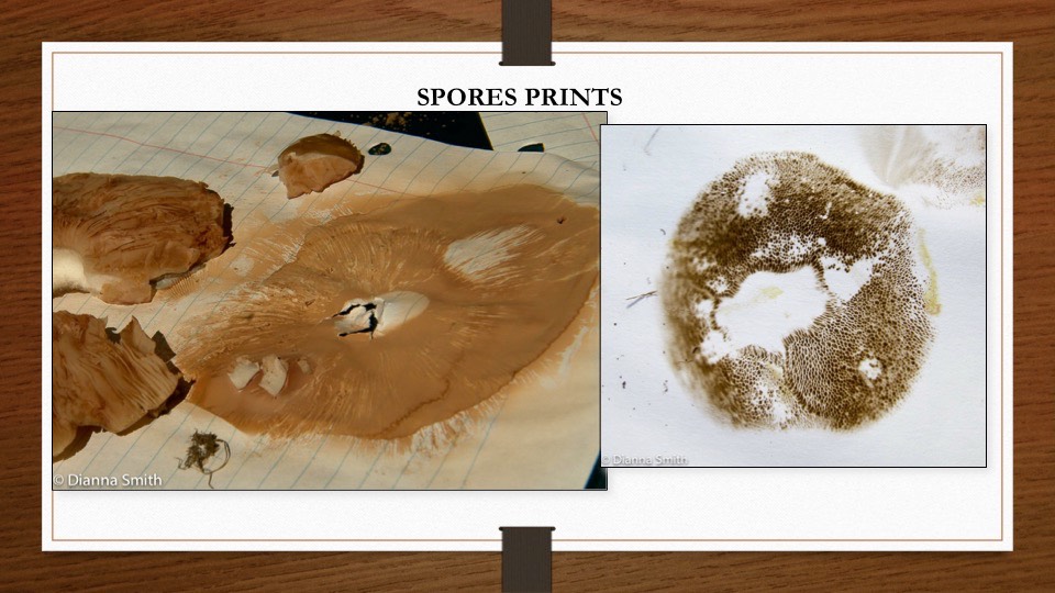 Slide10