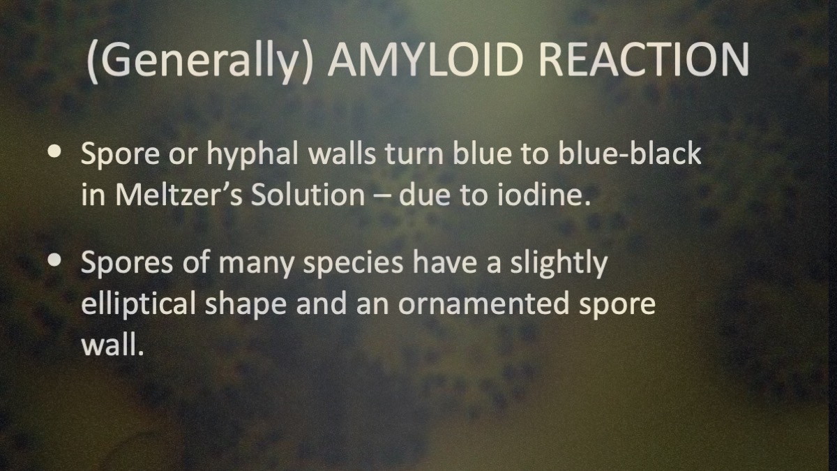 Slide10