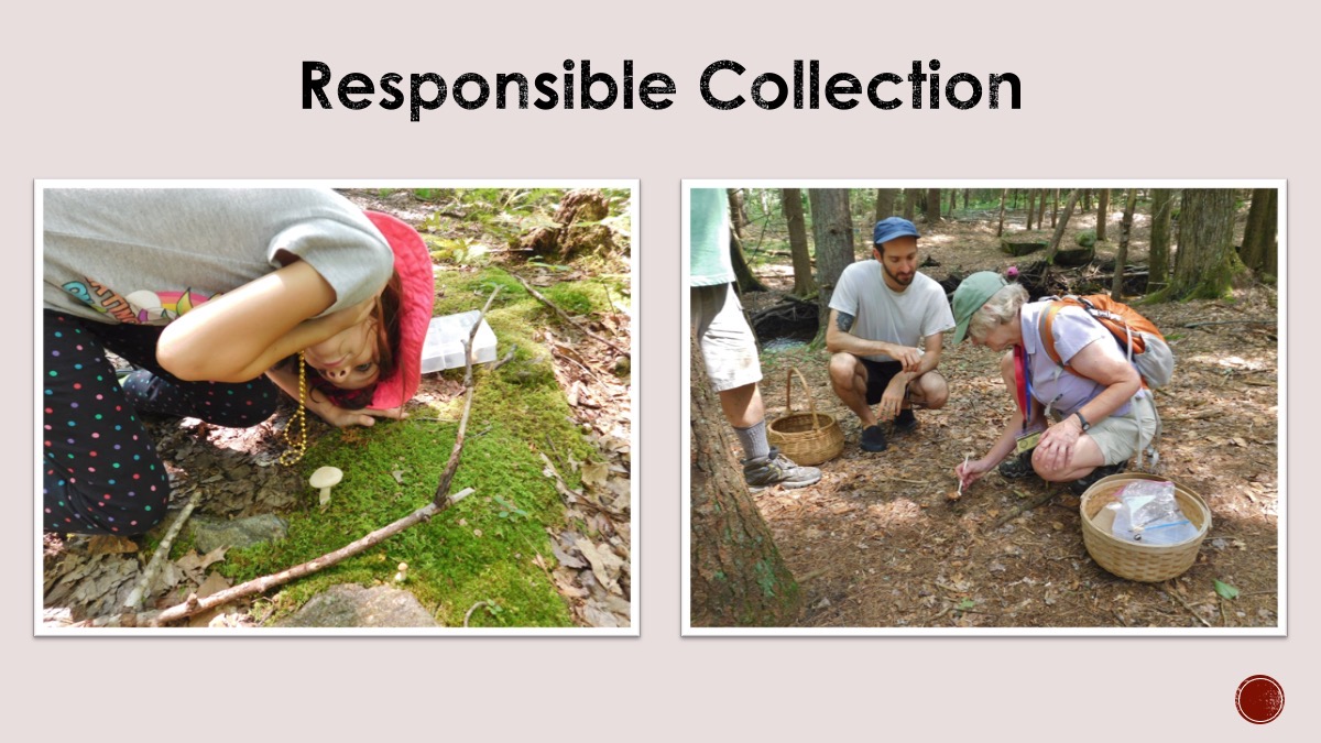 Slide10