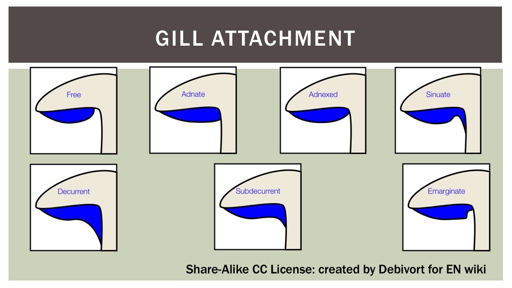 Slide10