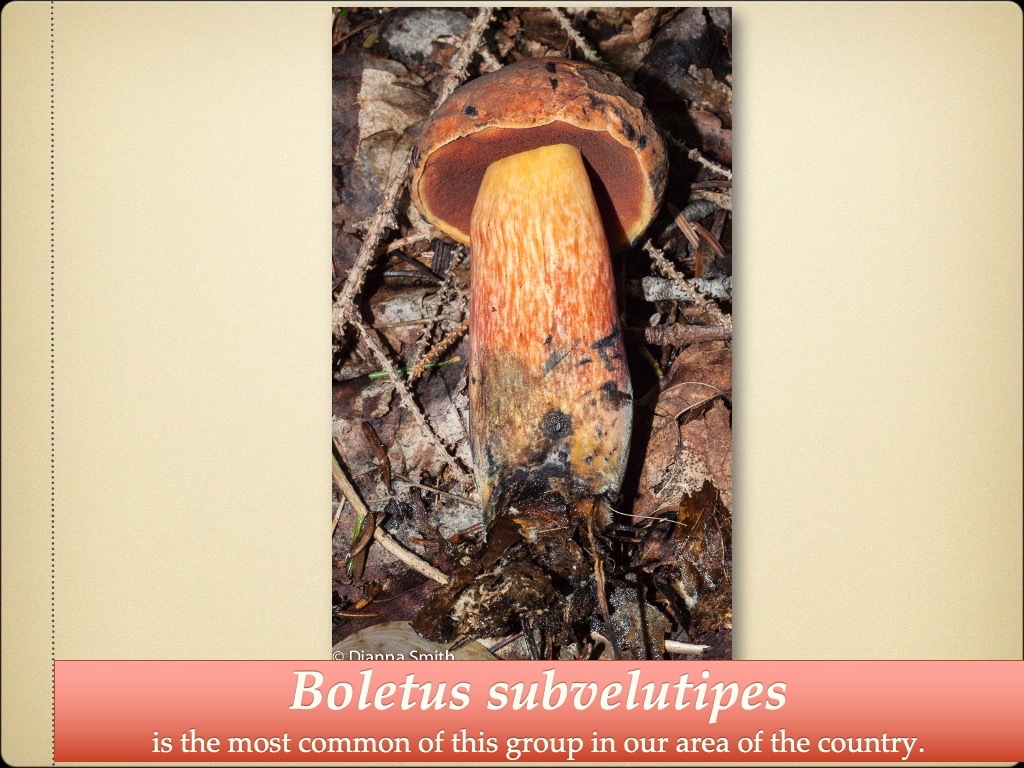 Slide102