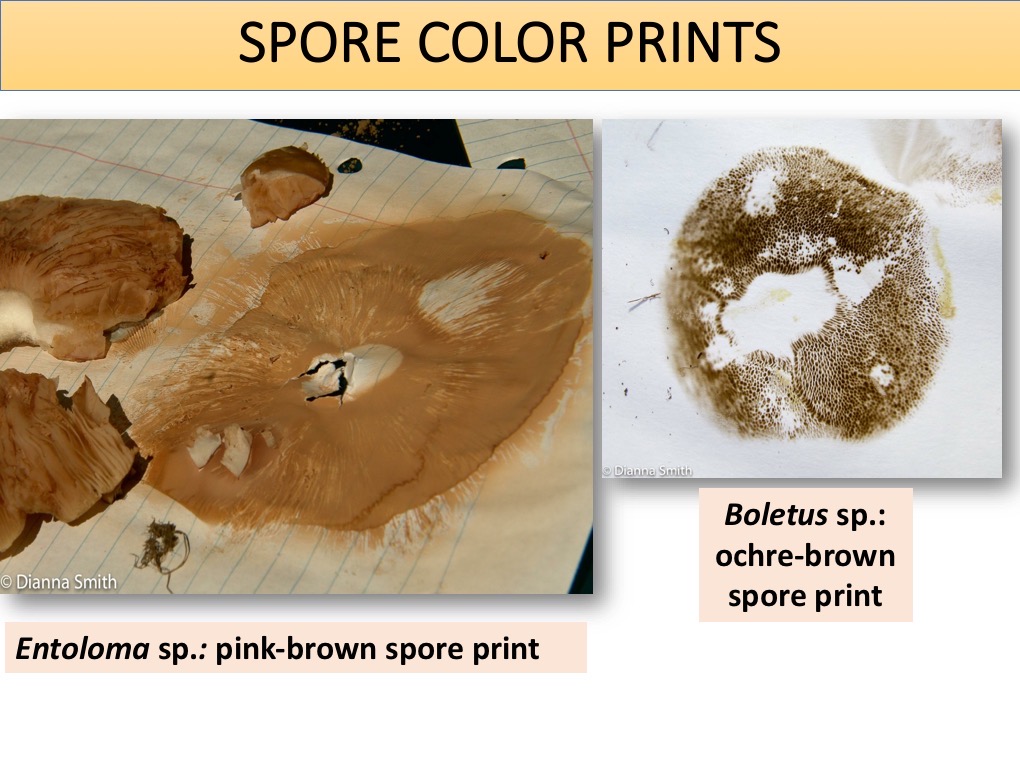 Slide102