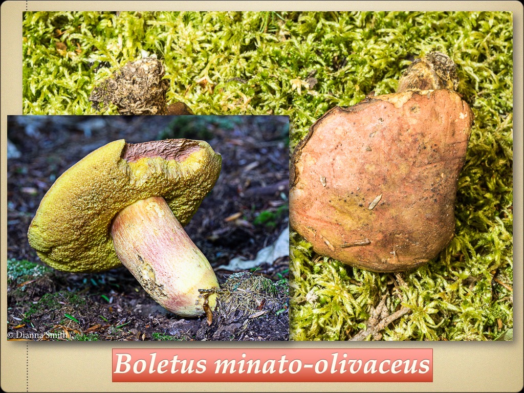Slide104