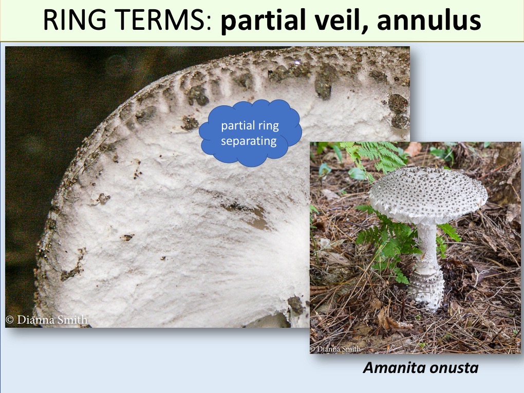 Slide104