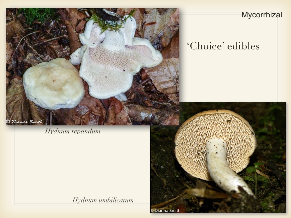 Slide105