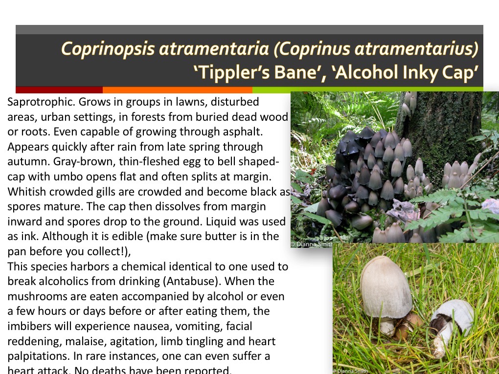 Slide106