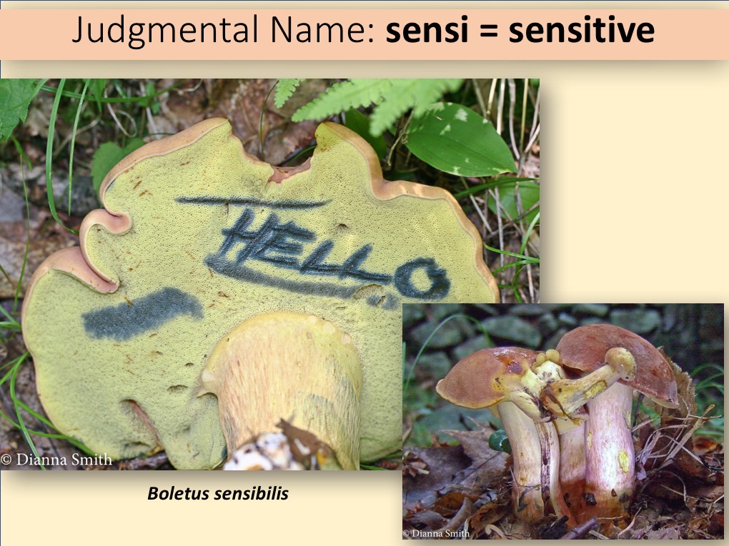 Slide106